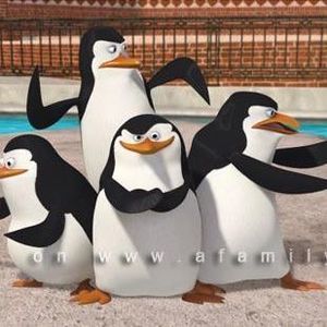 Meet your Posher, Chung